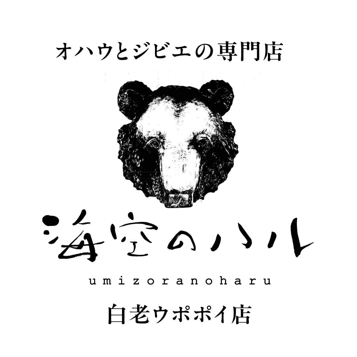 海空のハルロゴ画像