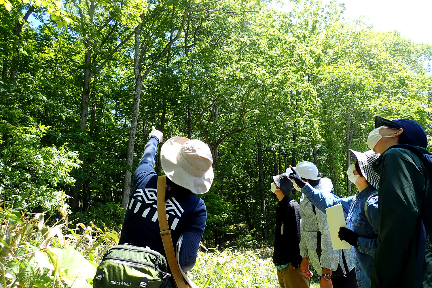 参加者に森を案内するウポポイ職員