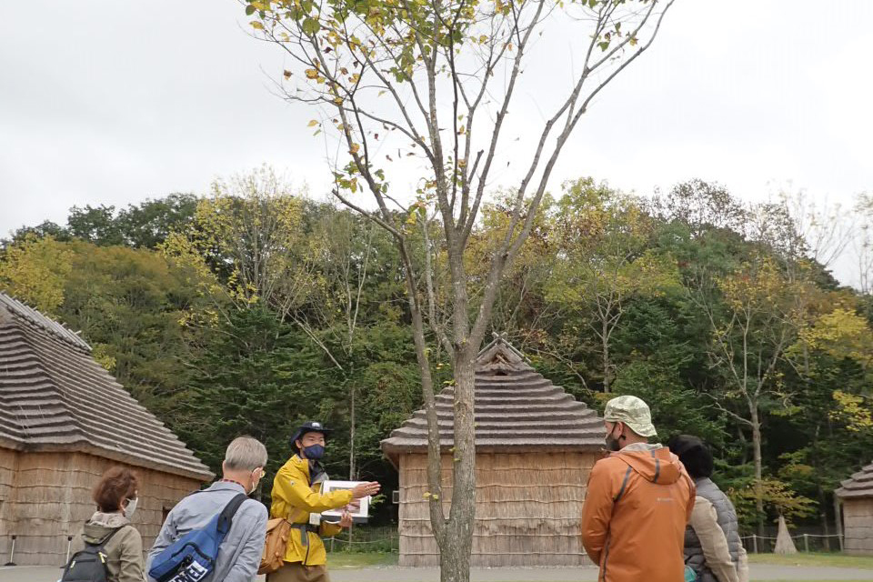 GWプログラム「植物と暮らし紹介」イメージ写真。1本の樹木を解説する人と参加者。